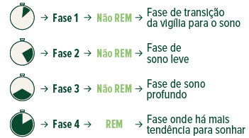 ciclo fases do sono