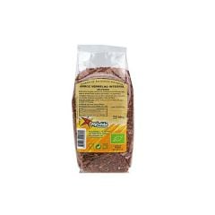 Arroz Terra Inttegral Biologico