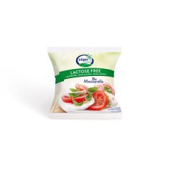 Queijo Mozzarella Sem Lactose Bio