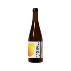 Kombucha Gengibre Garrafa
