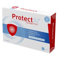 Protect Ai