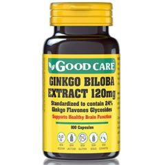 Ginkgo Biloba Extract 120Mg