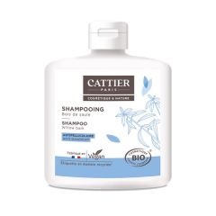 Champô Anti-Caspa Salgueiro