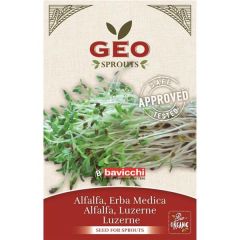 Alfalfa - Sementes Para Germinar Bio
