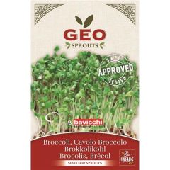 Brócolos - Sementes Para Germinar Bio