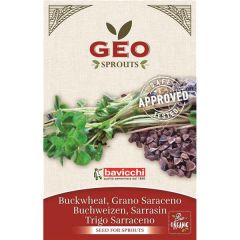 Trigo-Sarraceno - Sementes Para Germinar Bio
