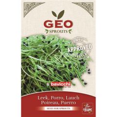 Alho-Francês - Sementes Para Germinar Bio