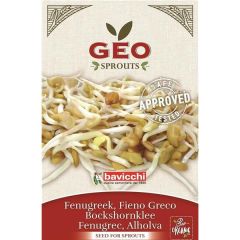 Feno-Grego - Sementes Para Germinar Bio