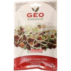 Lentilhas - Sementes Para Germinar Bio
