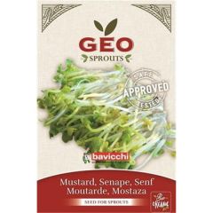 Mostarda - Sementes Para Germinar Bio