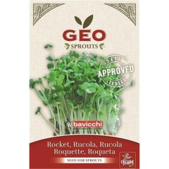 Rúcula - Sementes Para Germinar Bio