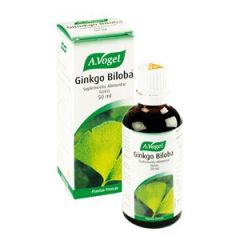 Ginkgo Biloba