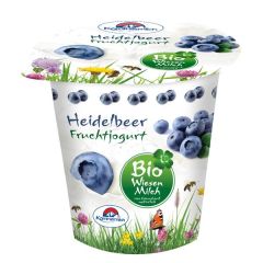 Iogurte Bio Mirtilo