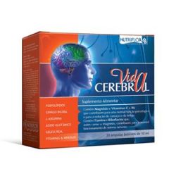 Vida Cerebral