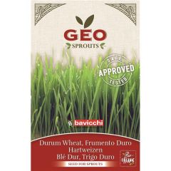Trigo Duro - Sementes Para Germinar Bio