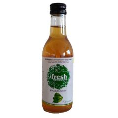Kombucha Original Bio