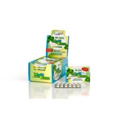 Xyligum Spearmint-Menta 12 Pastilhas