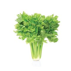 Aipo Rama Bio - Kg