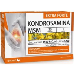 Kondrosamina Flex