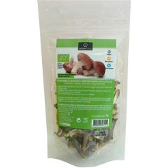 Cogumelos Shitake Bio