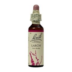 Larch (Seguro) Floral De Bach