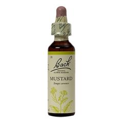 Mustard (Estabilidade) Floral De Bach