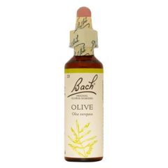 Olive (Dinamismo) Floral De Bach