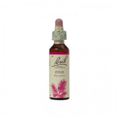 Pine (Auto-Estima) Floral Bach