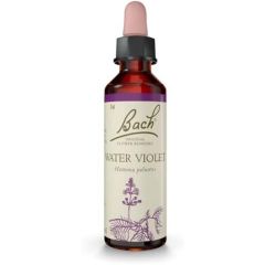 Water Violet (Sociabilidade) Floral De Bach