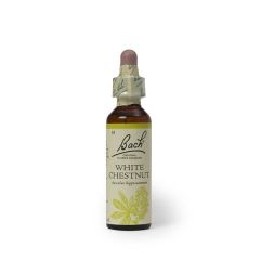 White Chestnut (Serenidade) Floral De Bach