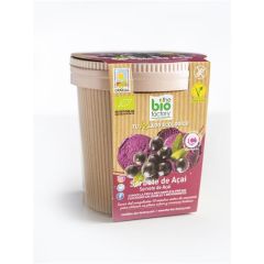 Sorvete De Açaí Biológico
