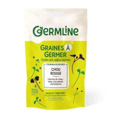 Couve Roxa Bio - Sementes Para Germinar