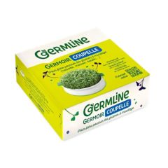 Germinador De Cerâmica
