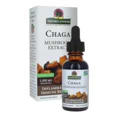 Cogumelo Chaga Extrato Sem Álcool 30Ml