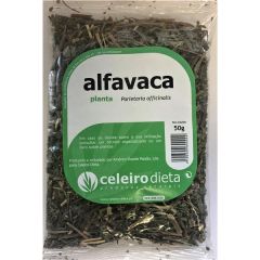 Chá Alfavaca