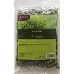 Chá Cavalinha Planta
