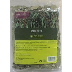 Chá Eucalipto