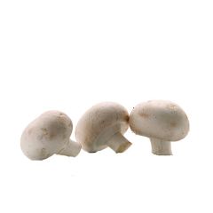Cogumelo Branco (Paris) Bio - Emb 200G