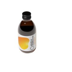 Kombucha Gengibre Garrafa 250Ml