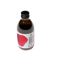 Kombucha Morango Garrafa 250Ml