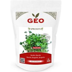 Rúcula - Sementes Para Germinar Bio