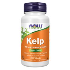 Algas Kelp