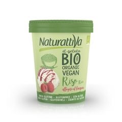 Gelado Vegetal Bio Arroz Com Framboesa Sem Glúten