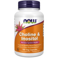 Choline & Inositol 500Mg