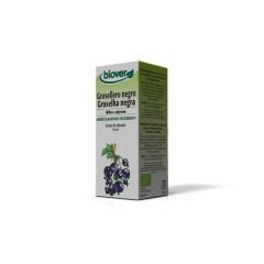 Groselha Ribes Nigrum