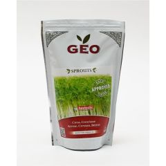 Agrião - Sementes Para Germinar Bio
