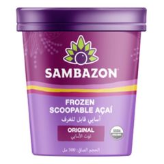 Sorvete Açaí Bio - Congelado