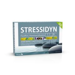 Stressidyn