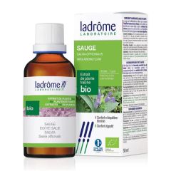 Extracto De Salva - Salvia Officinalis (Ext. Plantas Frescas)
