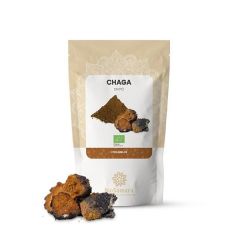 Cogumelo Chaga Em Pó Bio